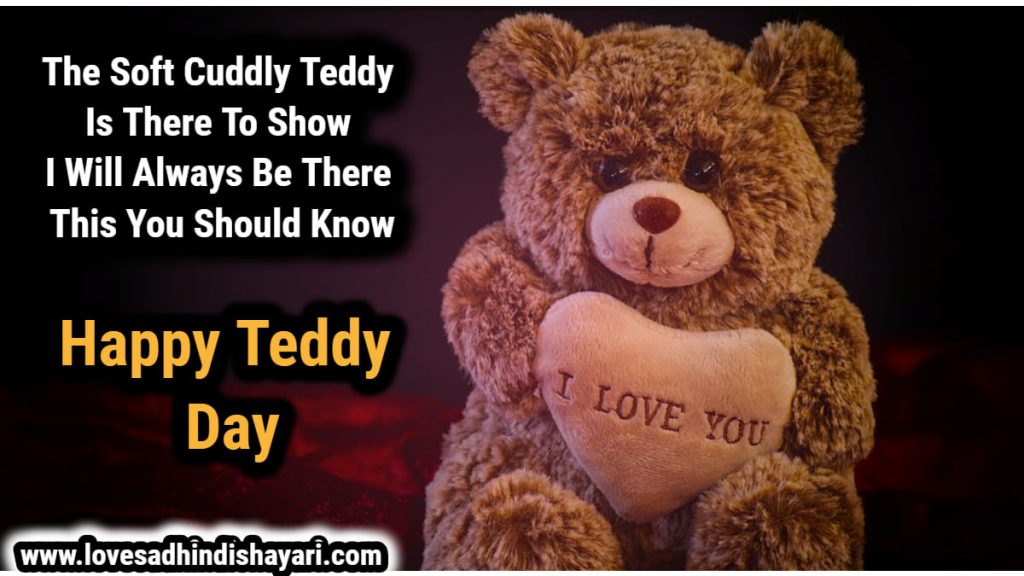 happy teddy day shayari in hindi, teddy day hindi shayari, teddy day hindi quotes, teddy day wishes,